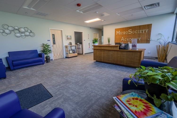 MicroSociety Academy Project